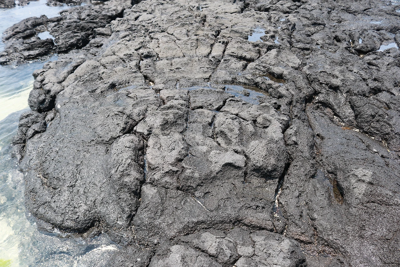 금능해수욕장 (68).JPG