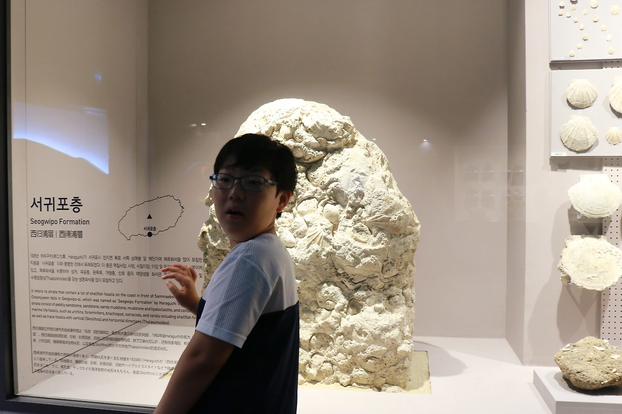 민속자연사박물관 (20).JPG