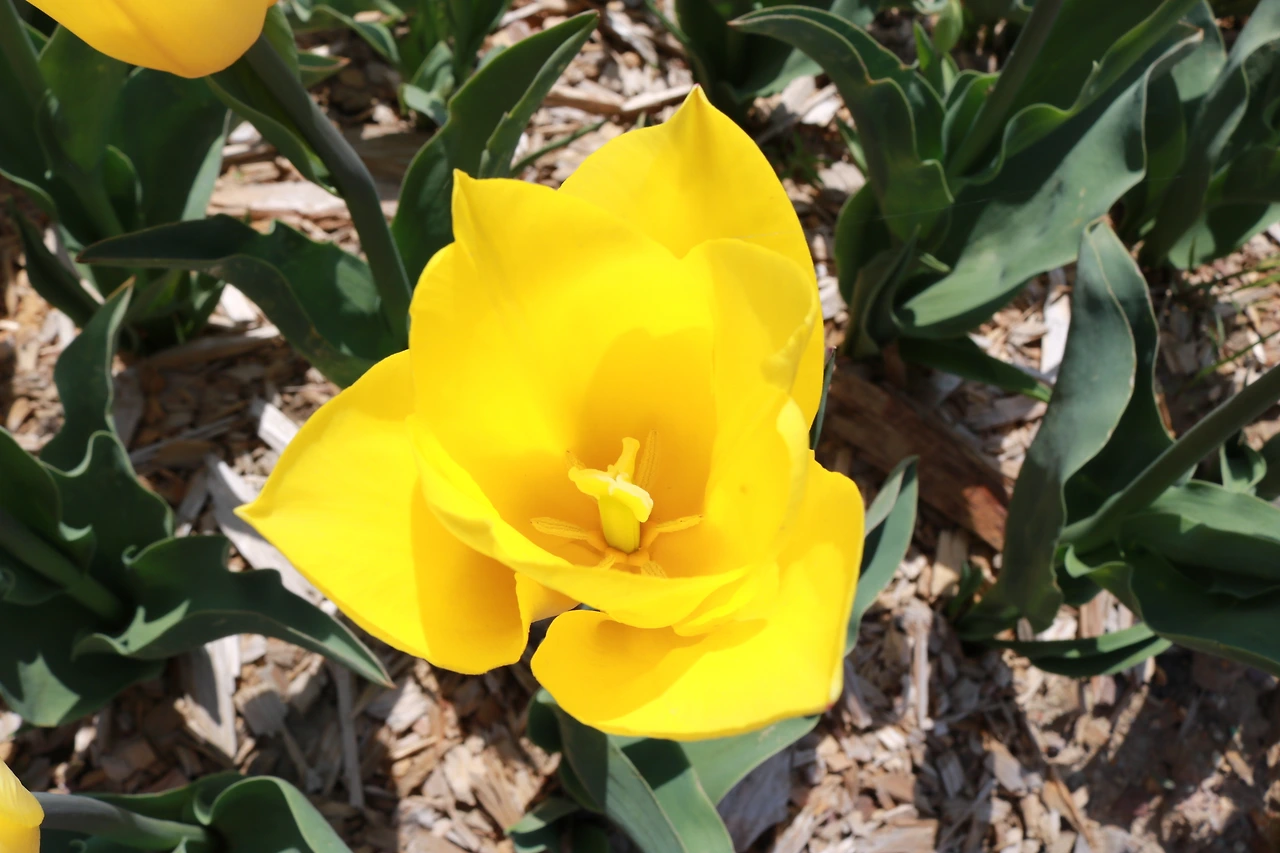 농업혁명 고성군농업기술센터 (41).JPG