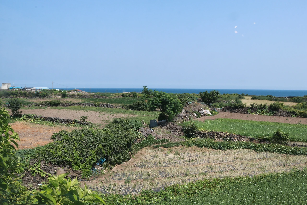 제주 작은 카페 (5).JPG