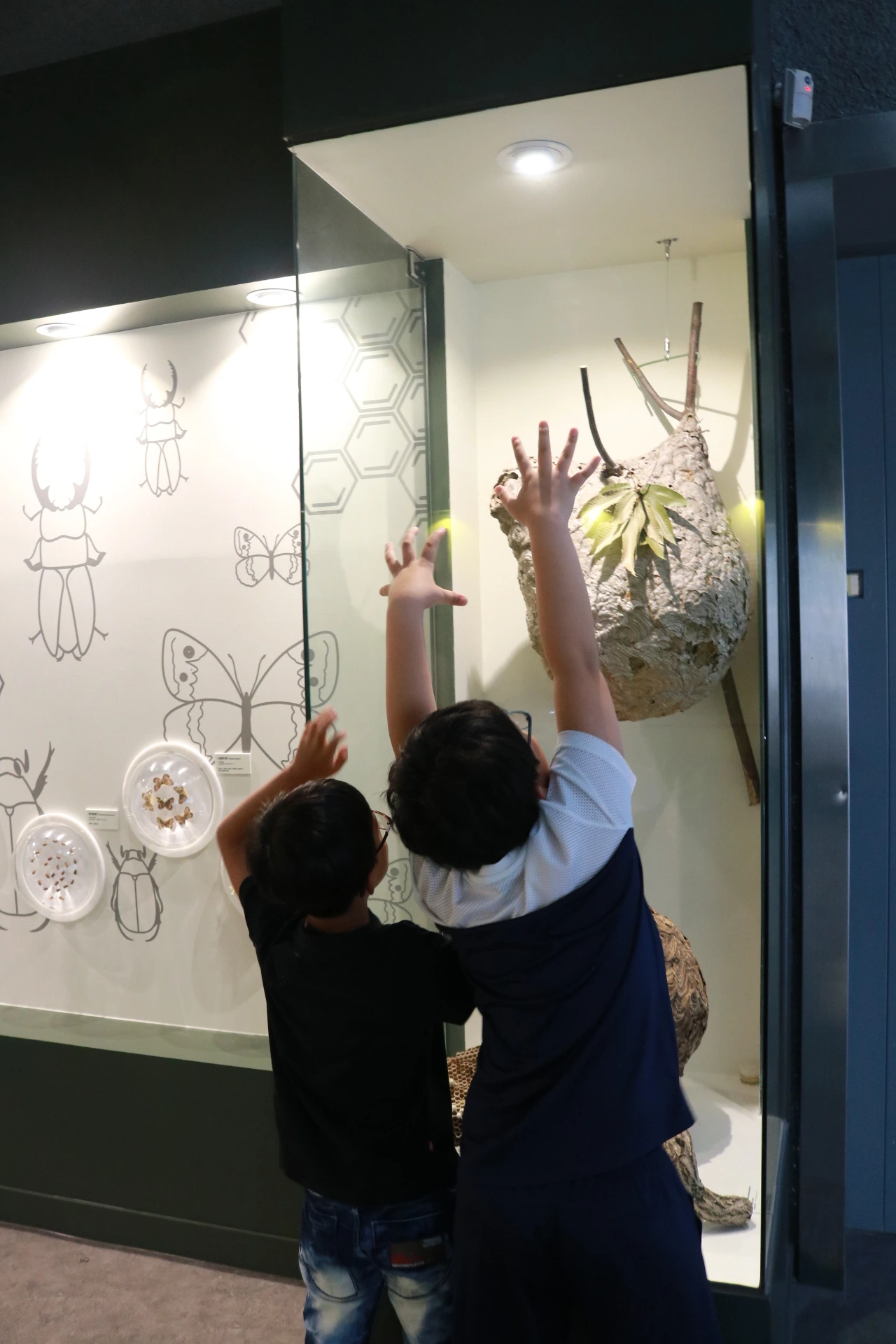 민속자연사박물관 (38).JPG