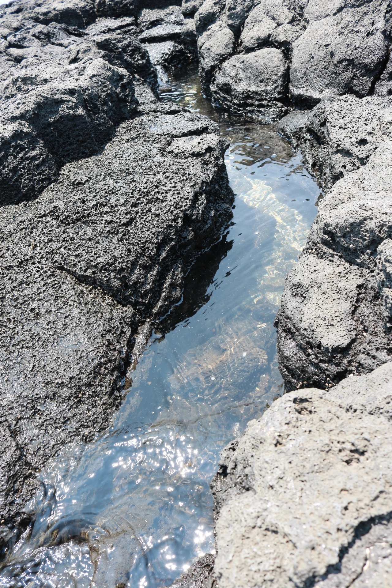 금능해수욕장 (67).JPG