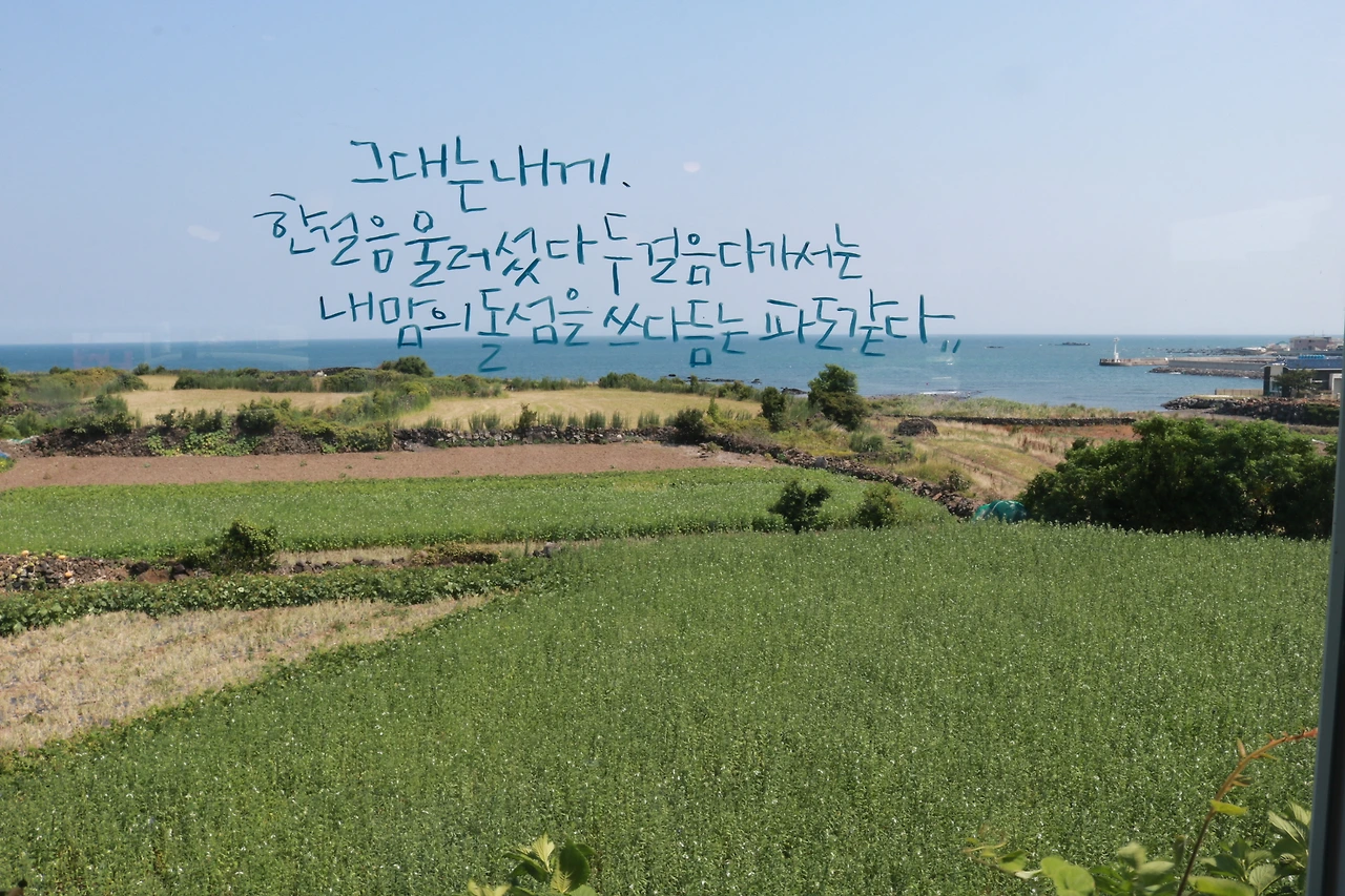 제주 작은 카페 (2).JPG