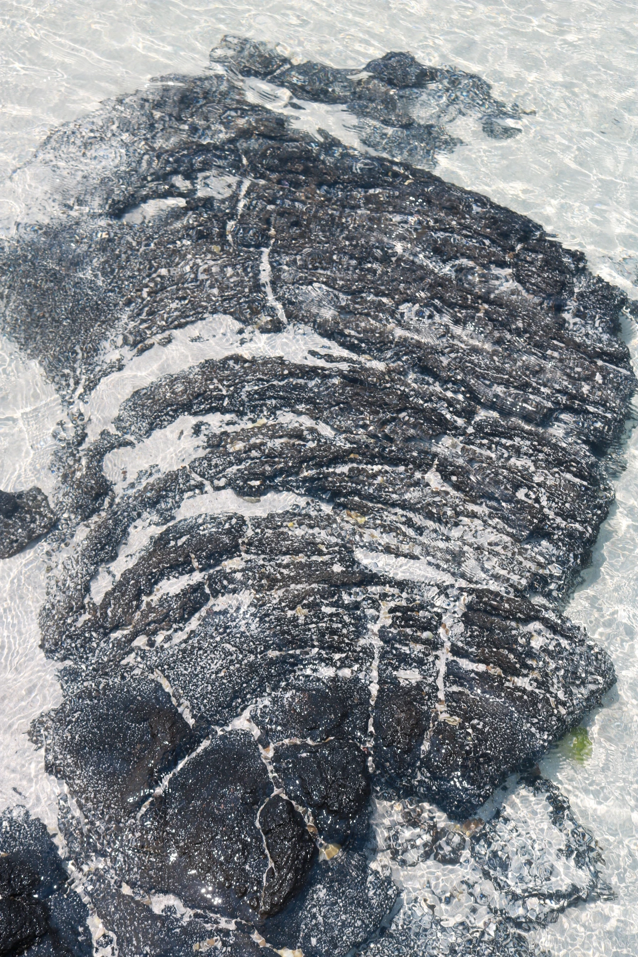 금능해수욕장 (69).JPG