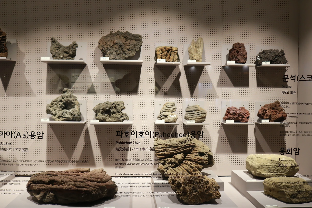 민속자연사박물관 (62).JPG