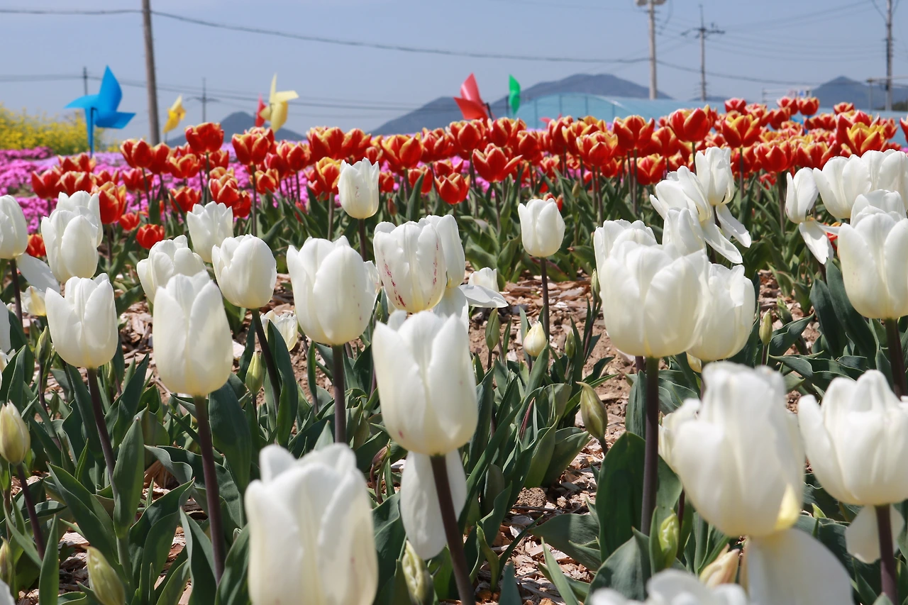 농업혁명 고성군농업기술센터 (43).JPG