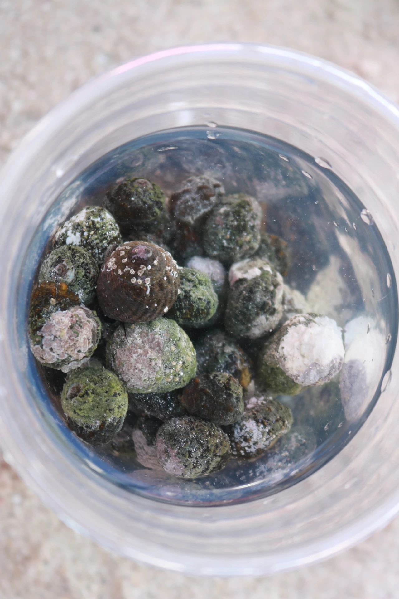 금능해수욕장 (5).JPG