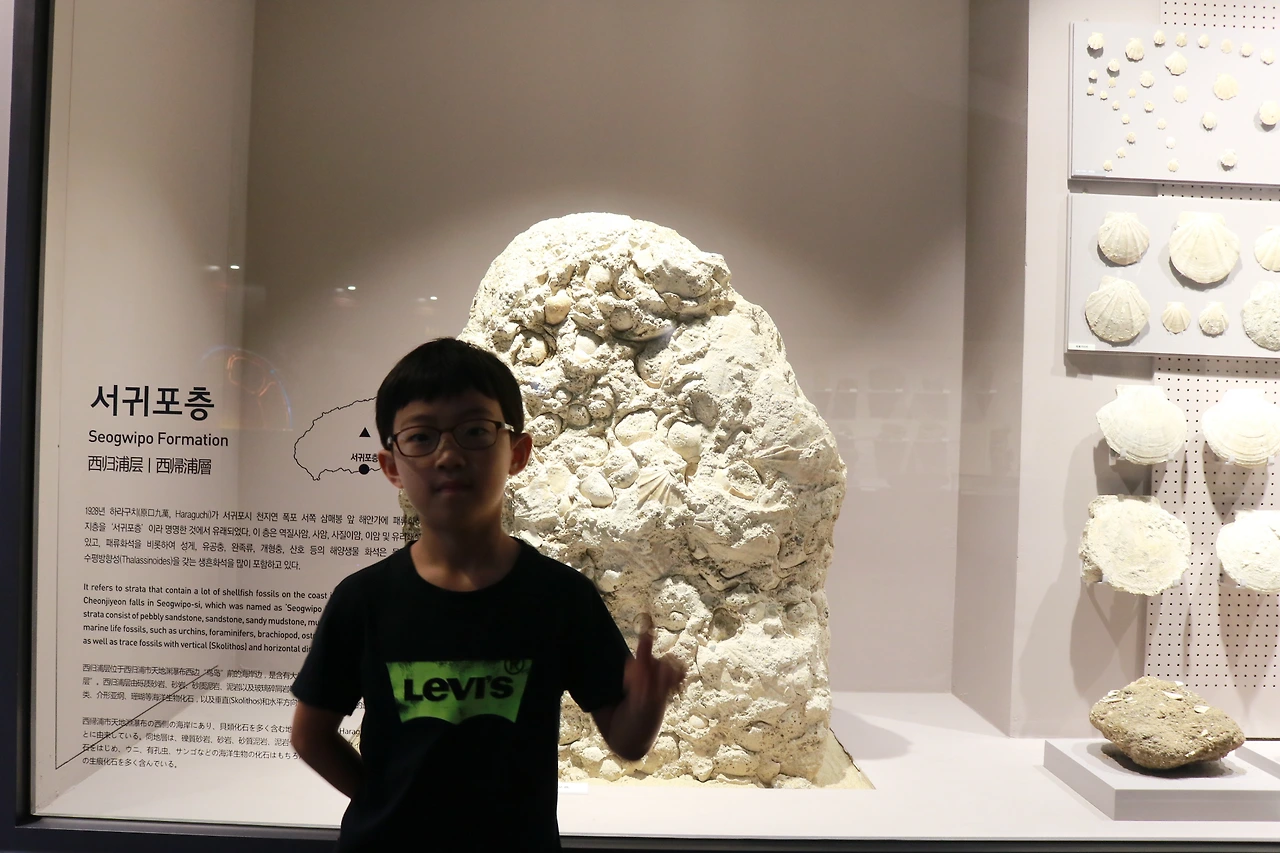 민속자연사박물관 (17).JPG