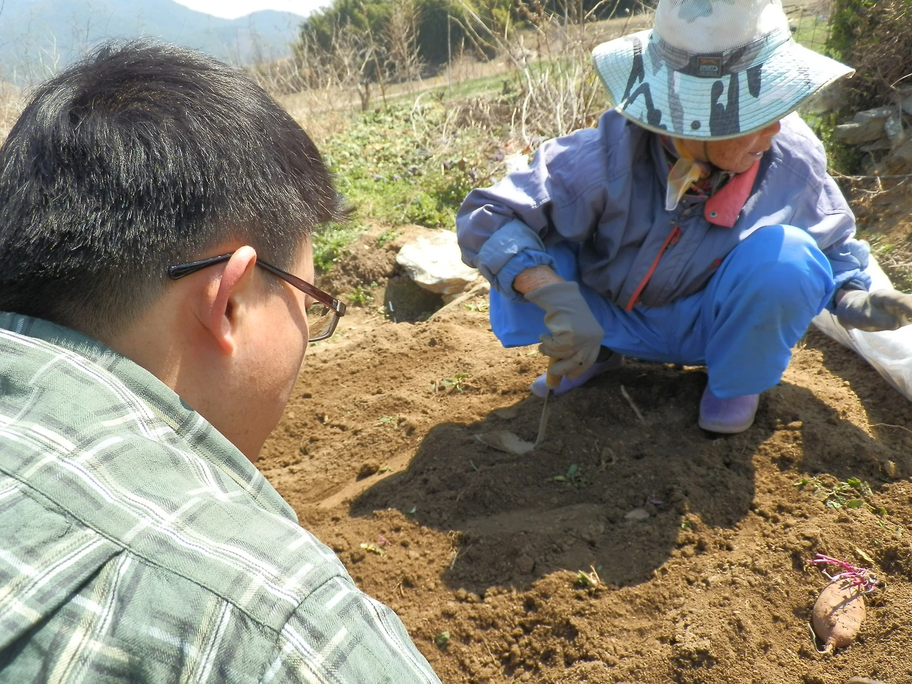 고성 고매 (63).JPG