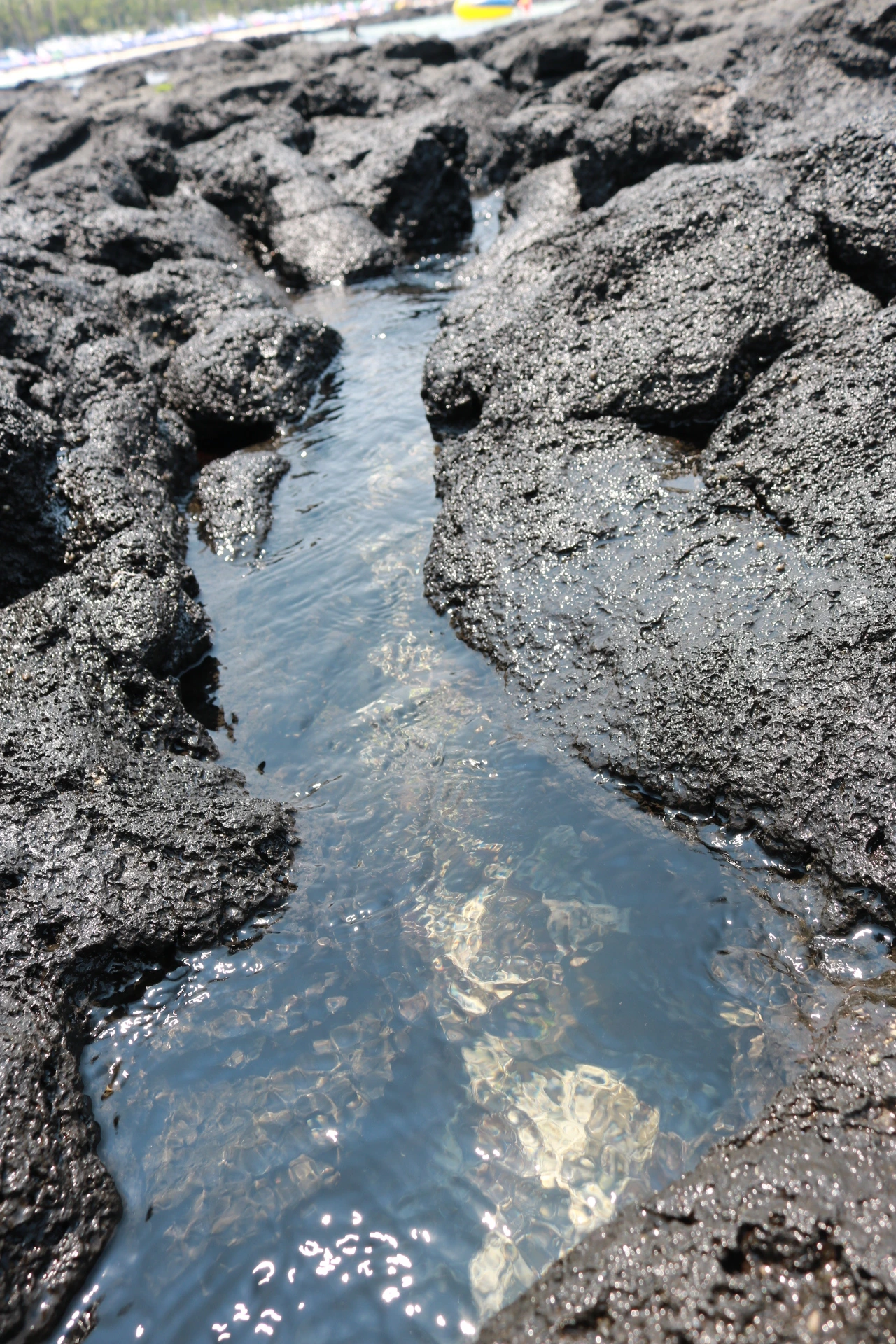 금능해수욕장 (64).JPG