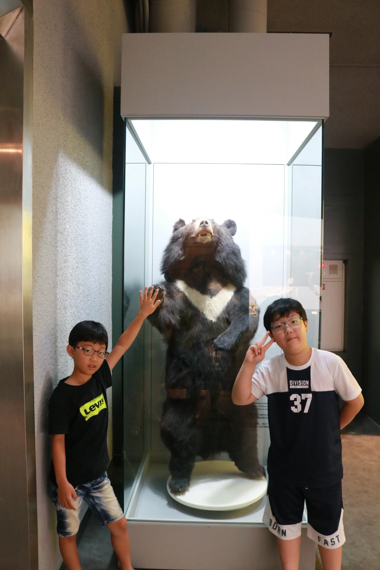 민속자연사박물관 (31).JPG