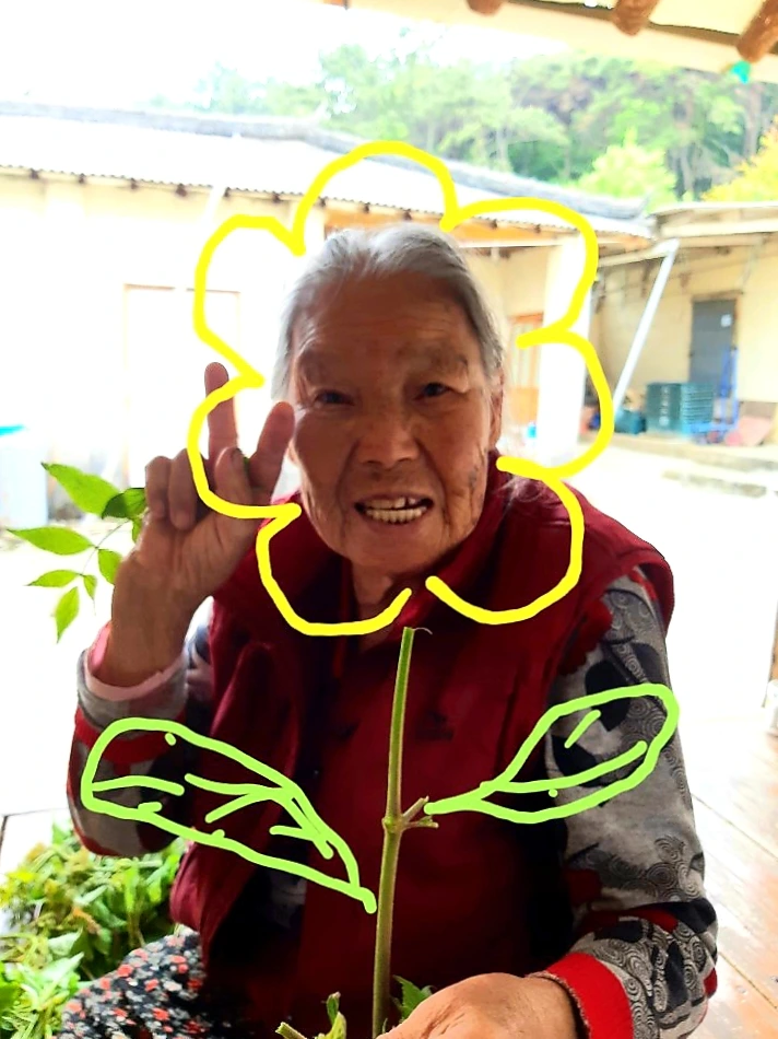 1588757153331.jpg?type=w1