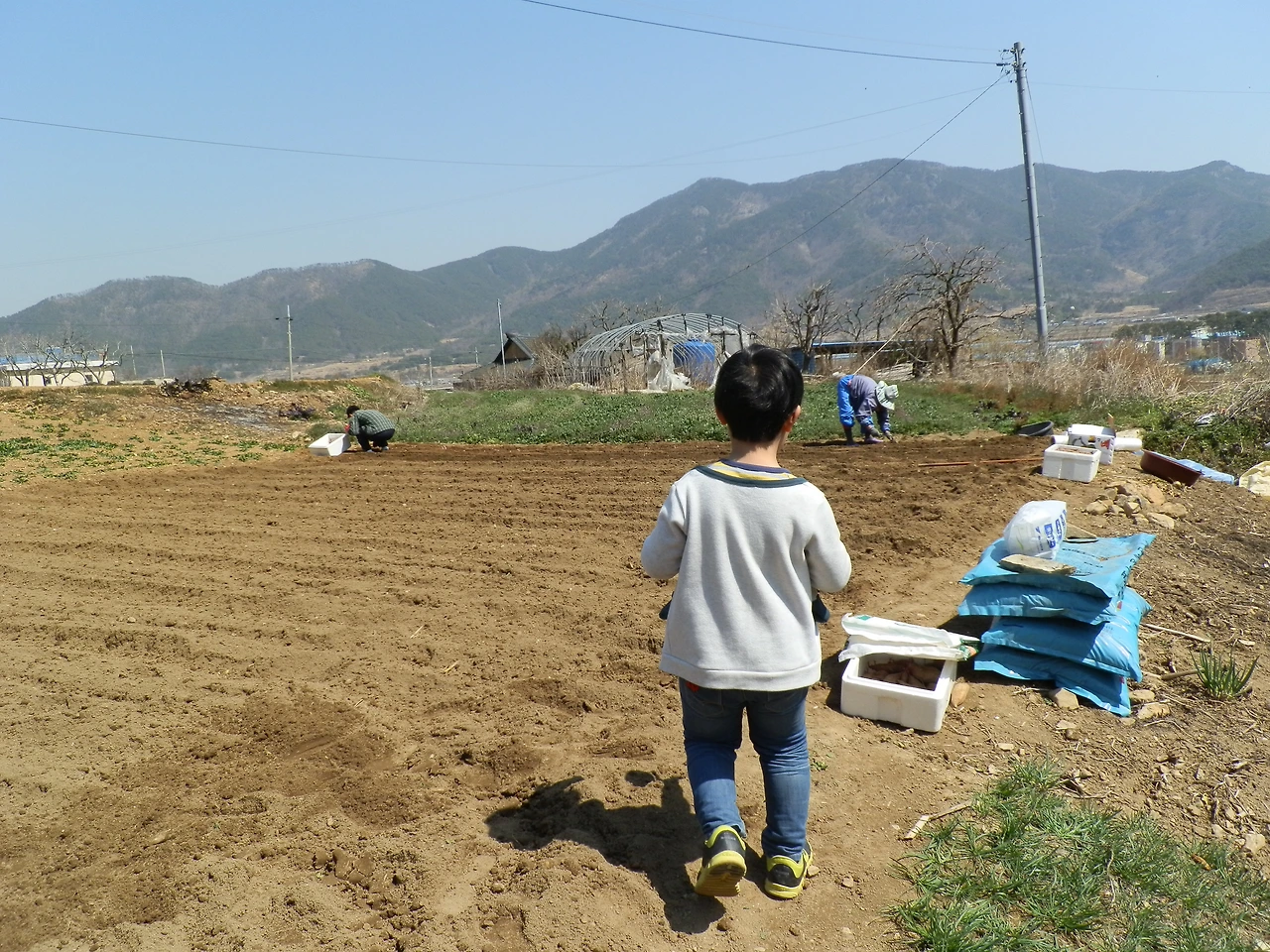 고성 고매 (48).JPG