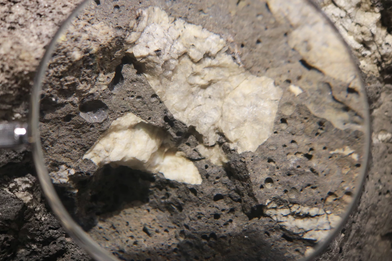 민속자연사박물관 (23).JPG