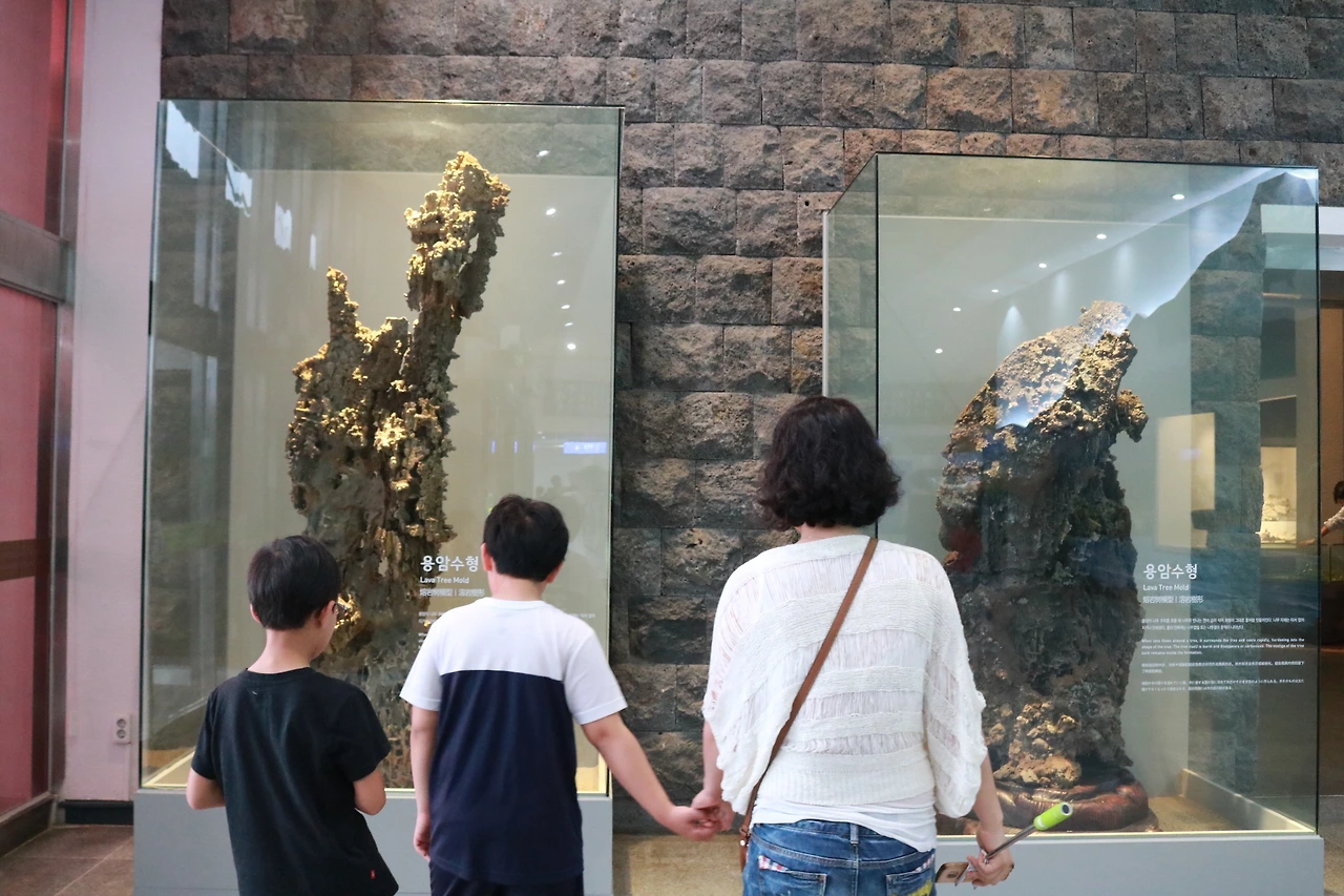 민속자연사박물관 (16).JPG