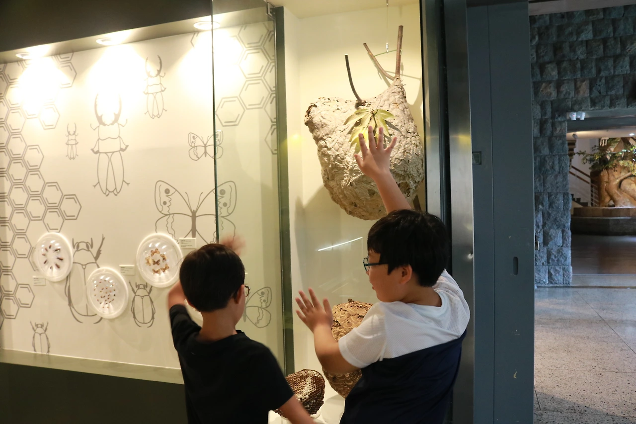 민속자연사박물관 (37).JPG