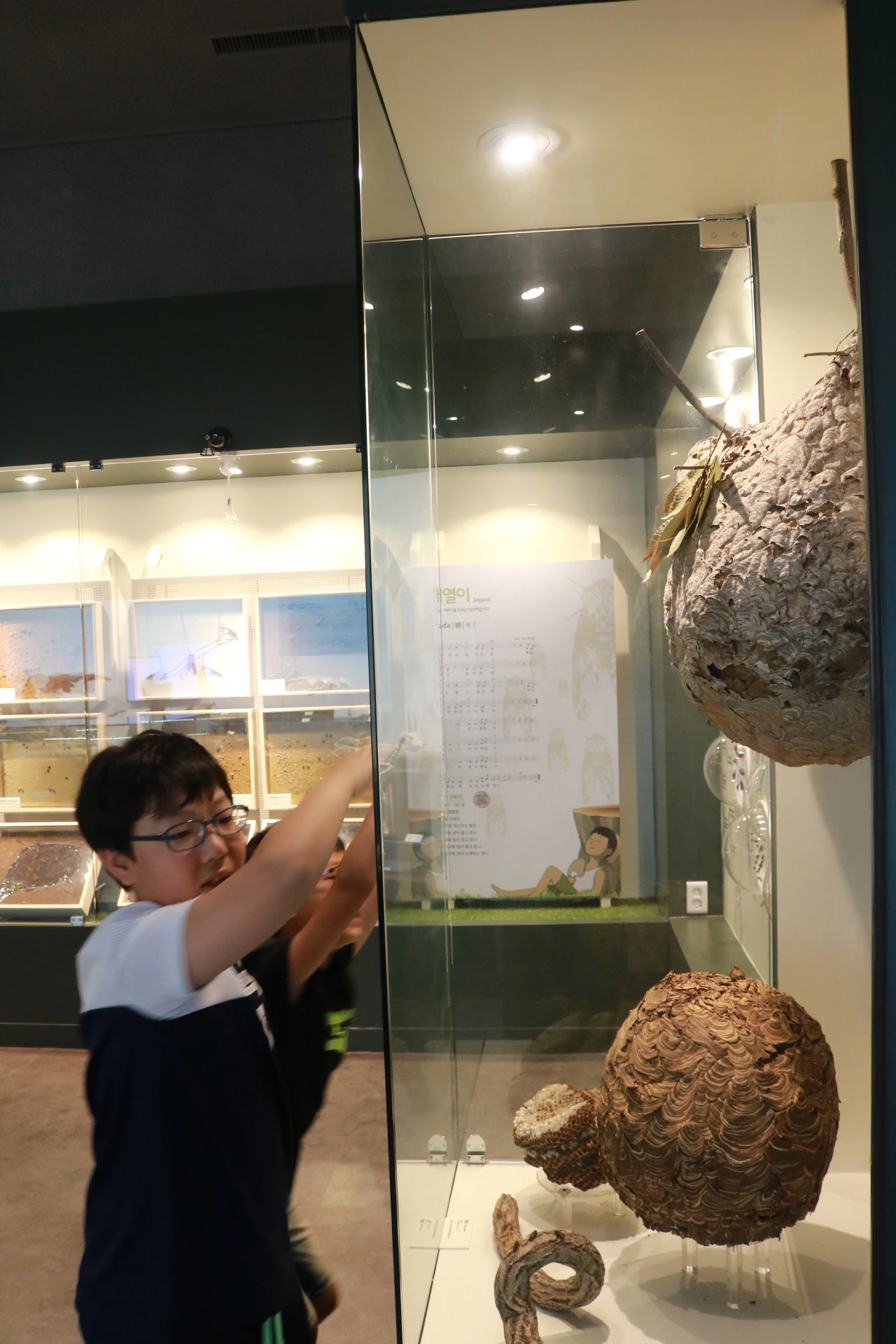 민속자연사박물관 (39).JPG