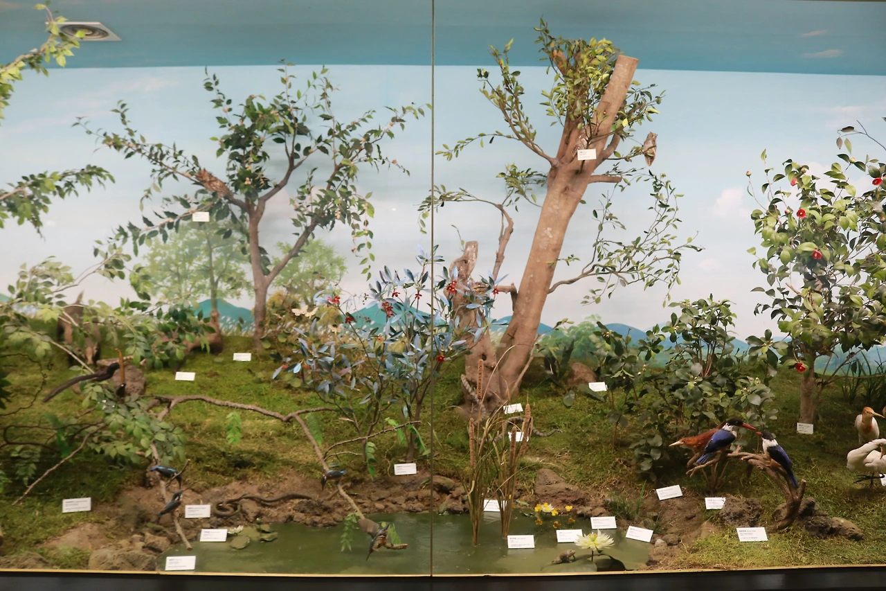 민속자연사박물관 (28).JPG