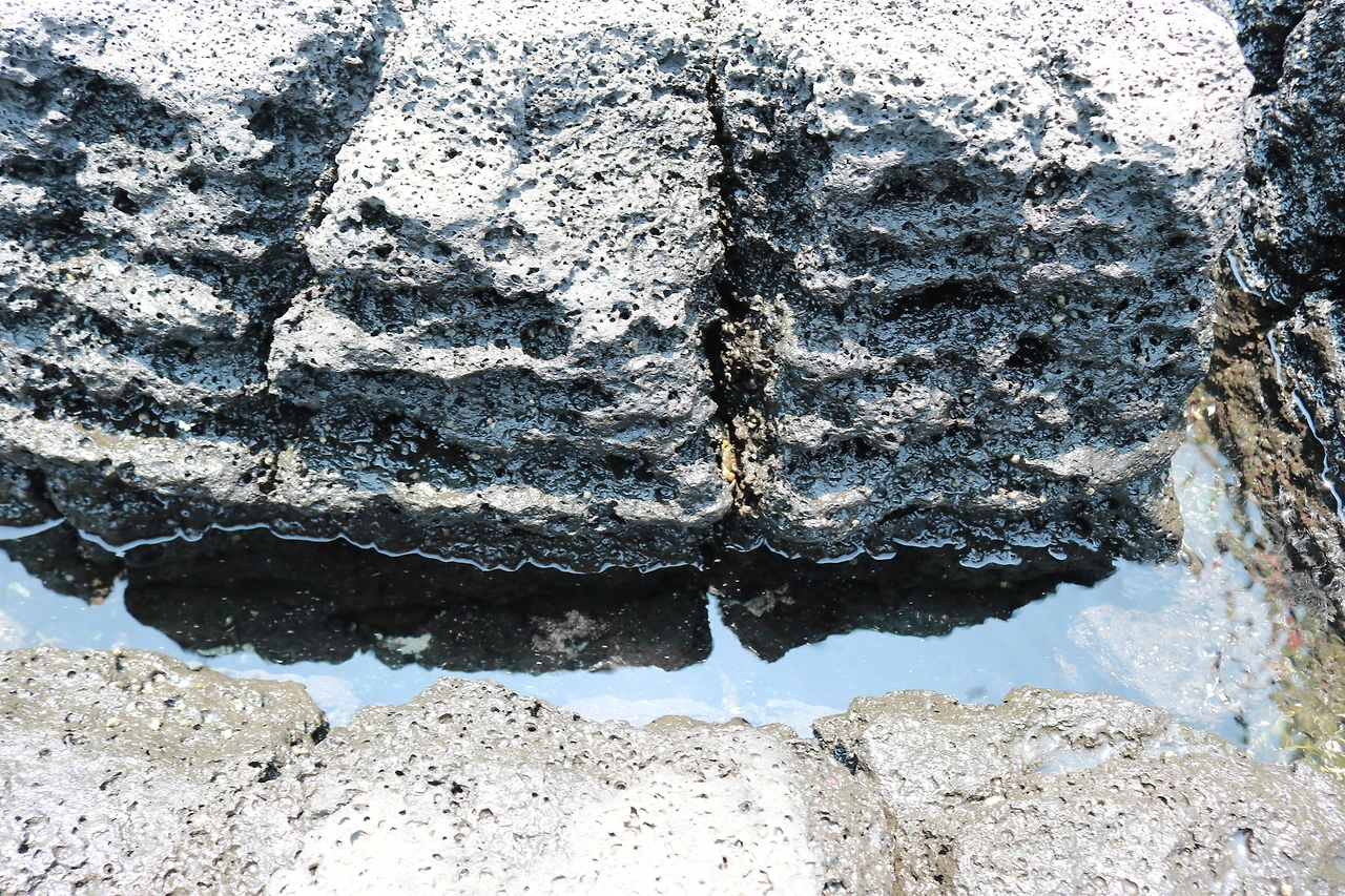 금능해수욕장 (66).JPG