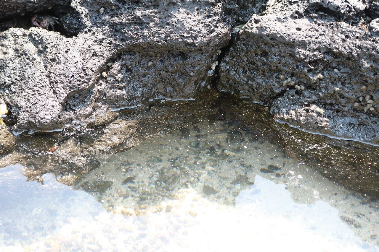 금능해수욕장 (53).JPG