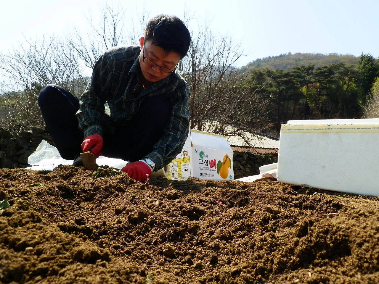 고성 고매 (58).JPG