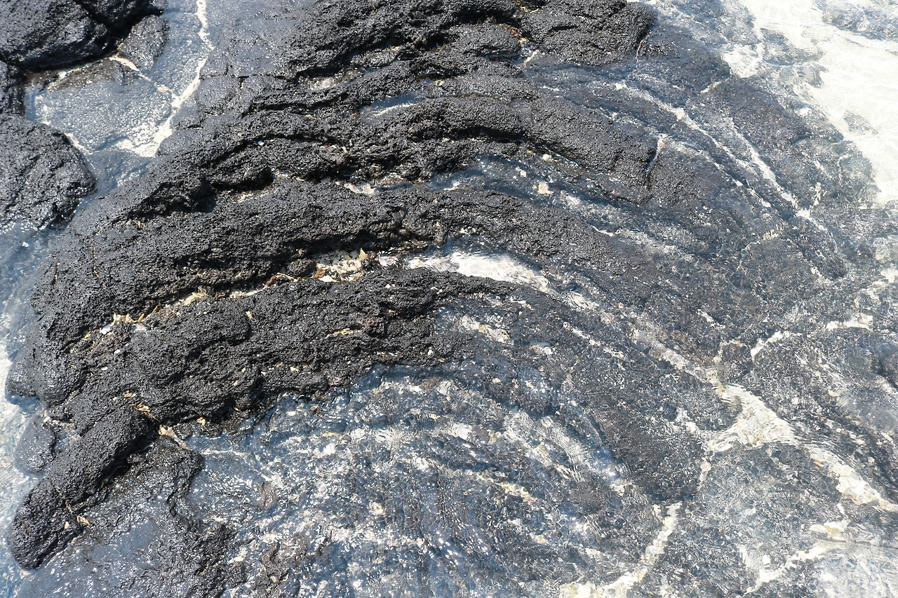 금능해수욕장 (63).JPG