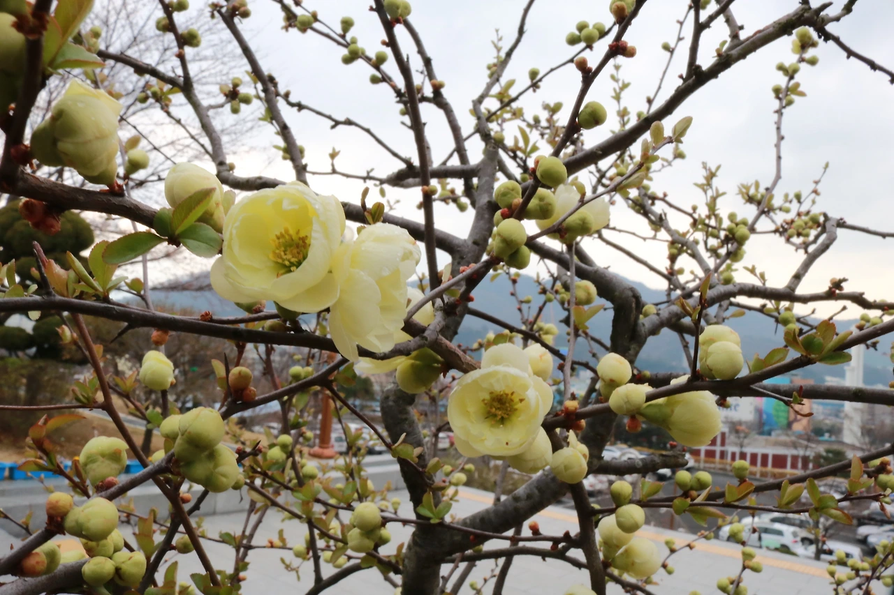 315백일장 (255).JPG