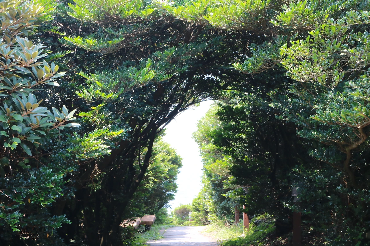 서귀포 큰엉 (19).JPG