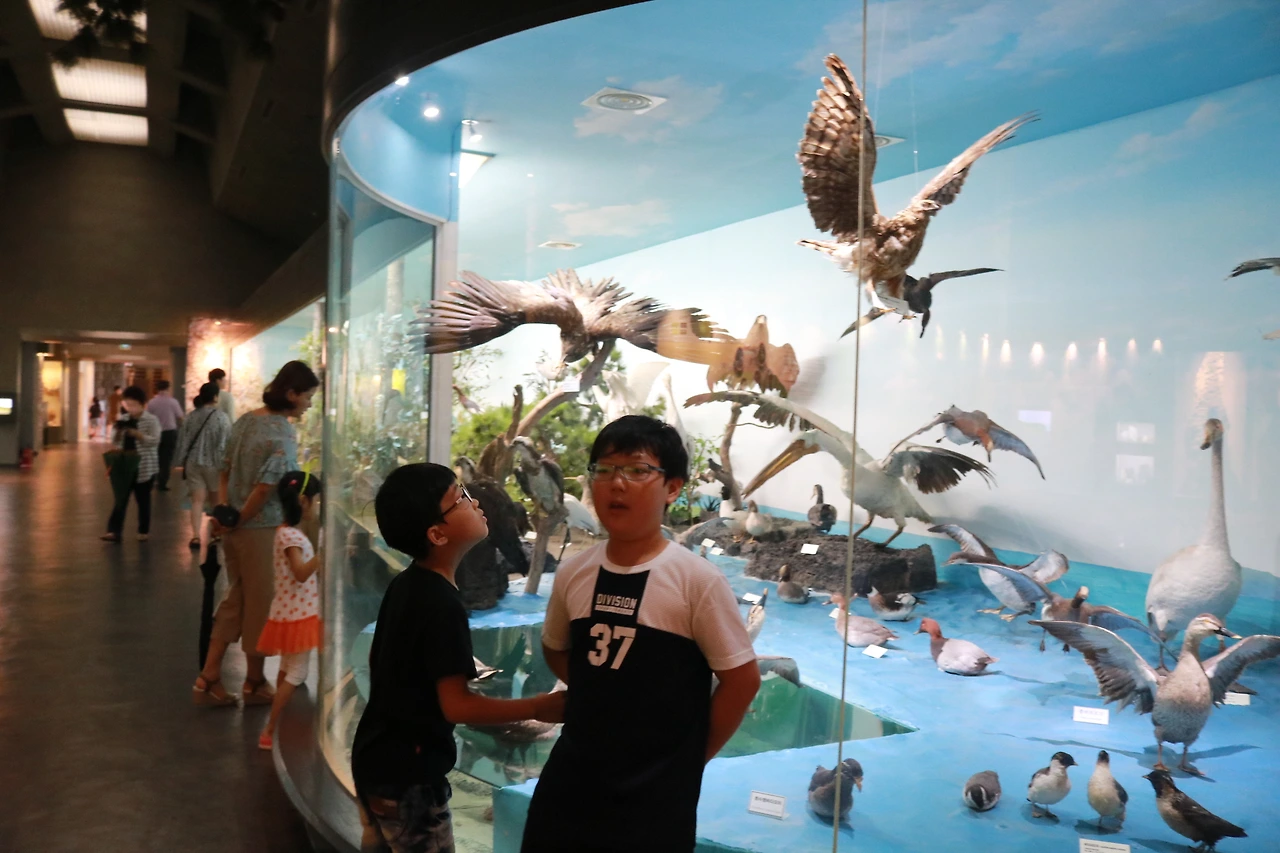 민속자연사박물관 (25).JPG