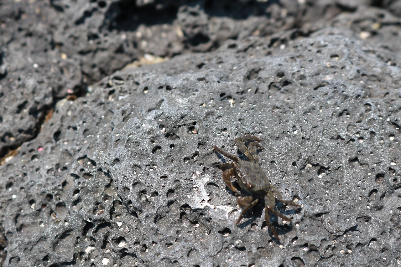 금능해수욕장 (70).JPG
