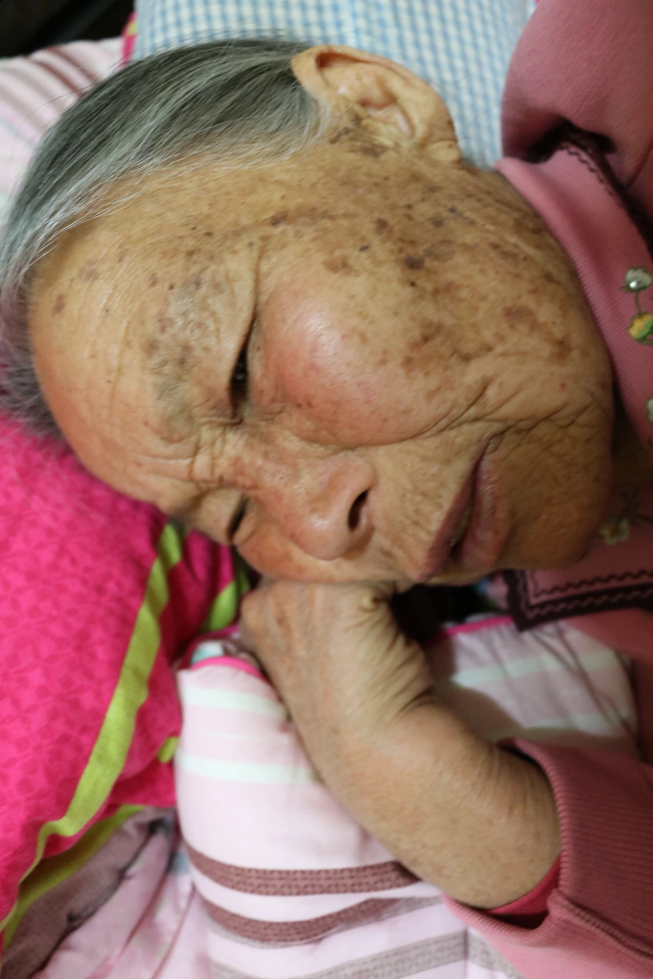 2016년 설날 풍경 (398).JPG