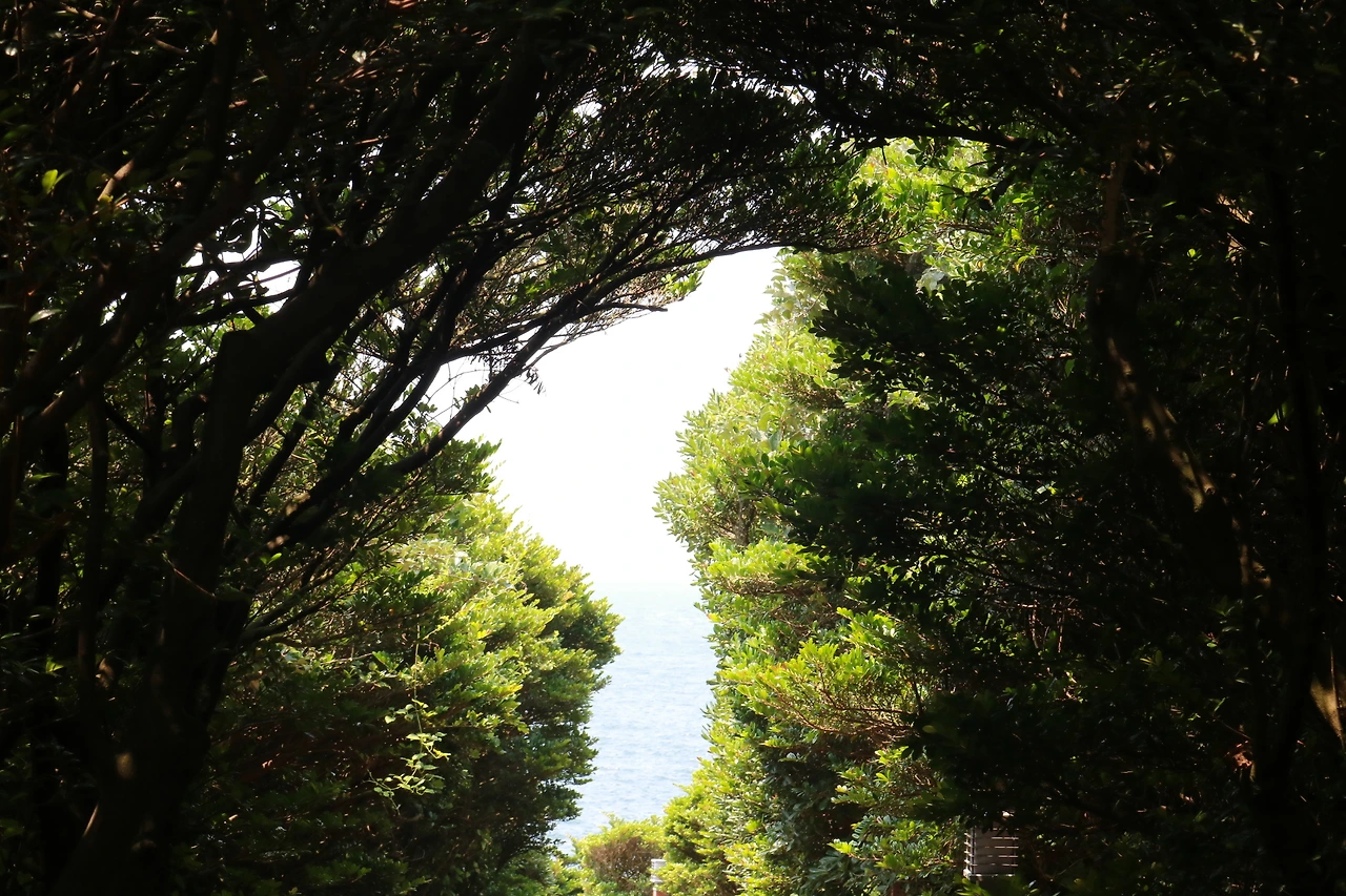 서귀포 큰엉 (6).JPG