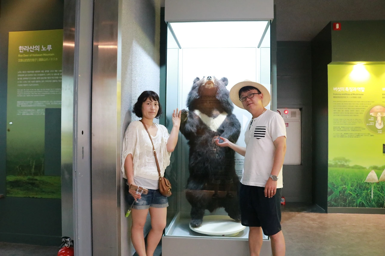 민속자연사박물관 (33).JPG