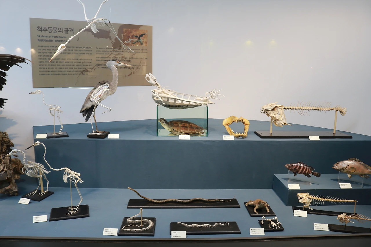 민속자연사박물관 (35).JPG