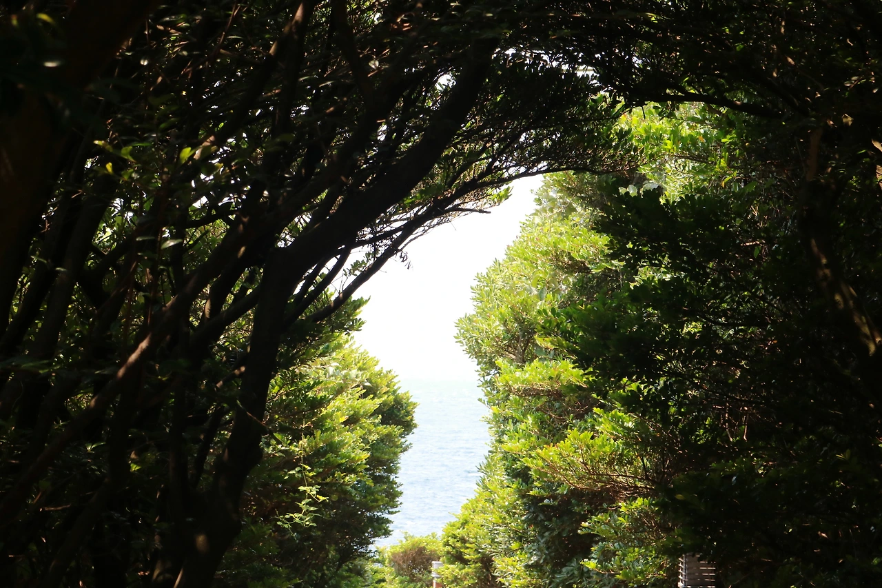 서귀포 큰엉 (7).JPG