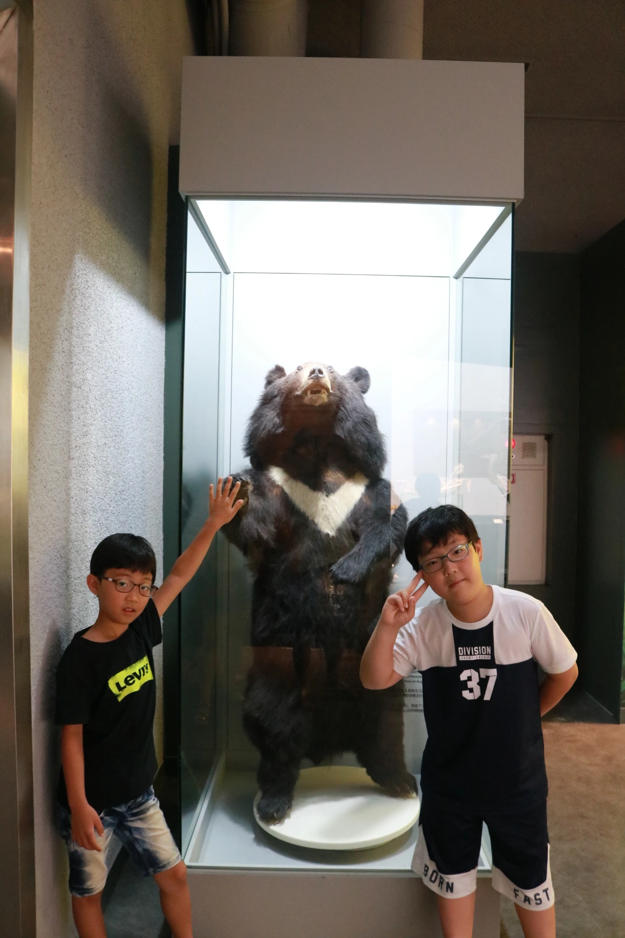 민속자연사박물관 (32).JPG