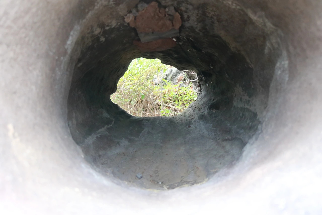 민속자연사박물관 (10).JPG