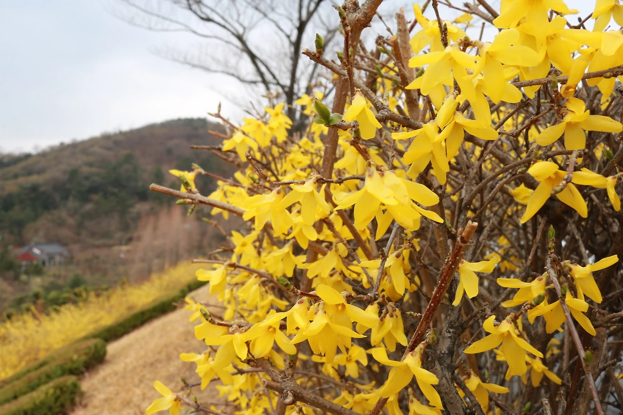 315백일장 (19).JPG