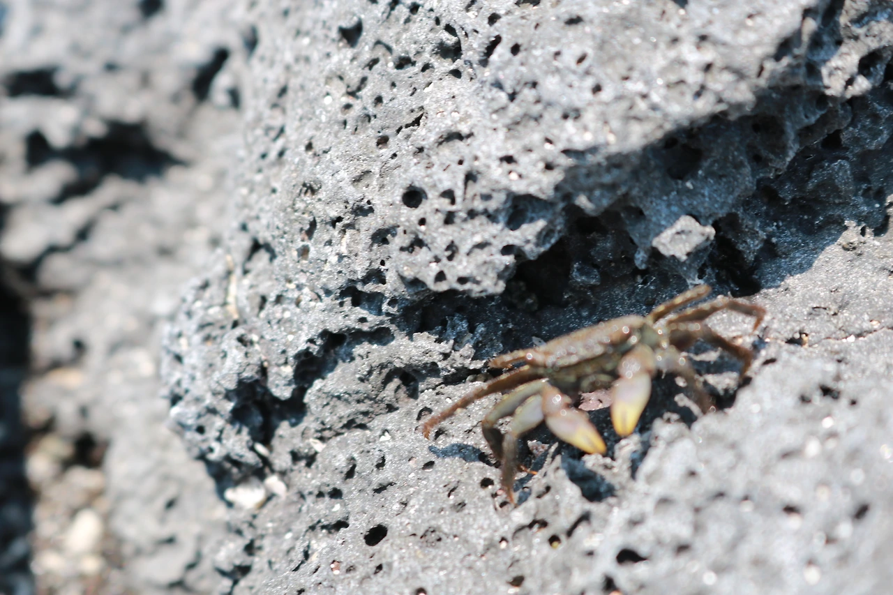 금능해수욕장 (73).JPG