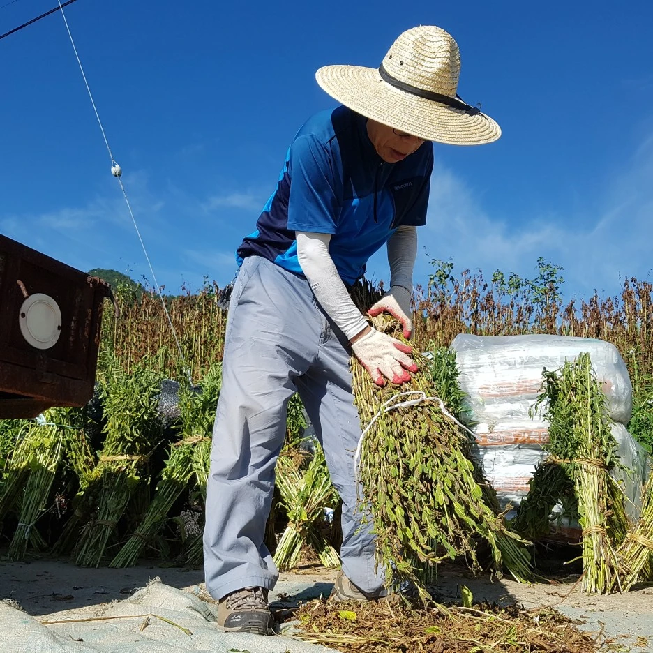 IMG_20170806_164322_236.jpg?type=w1