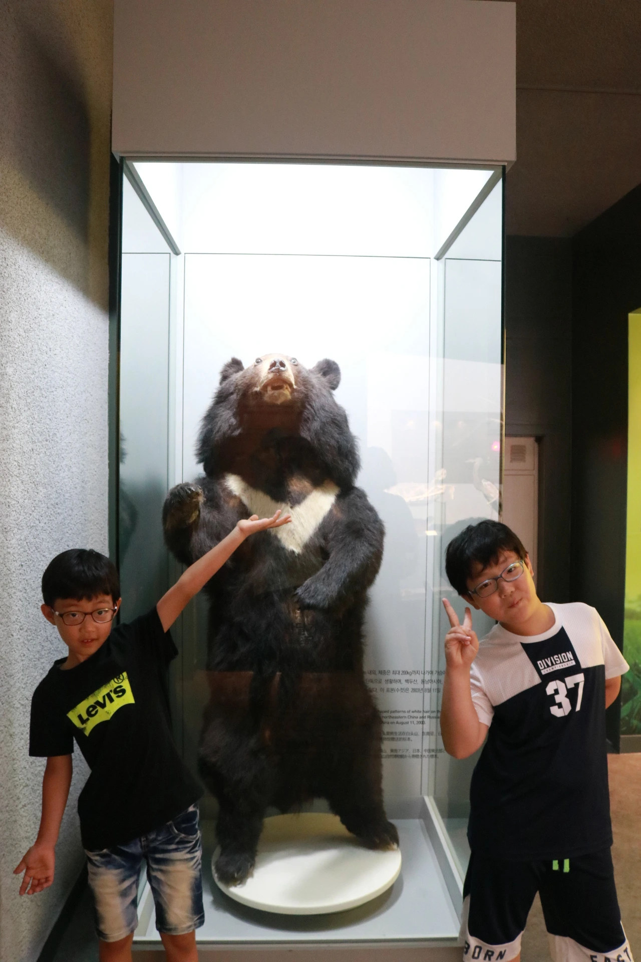 민속자연사박물관 (29).JPG