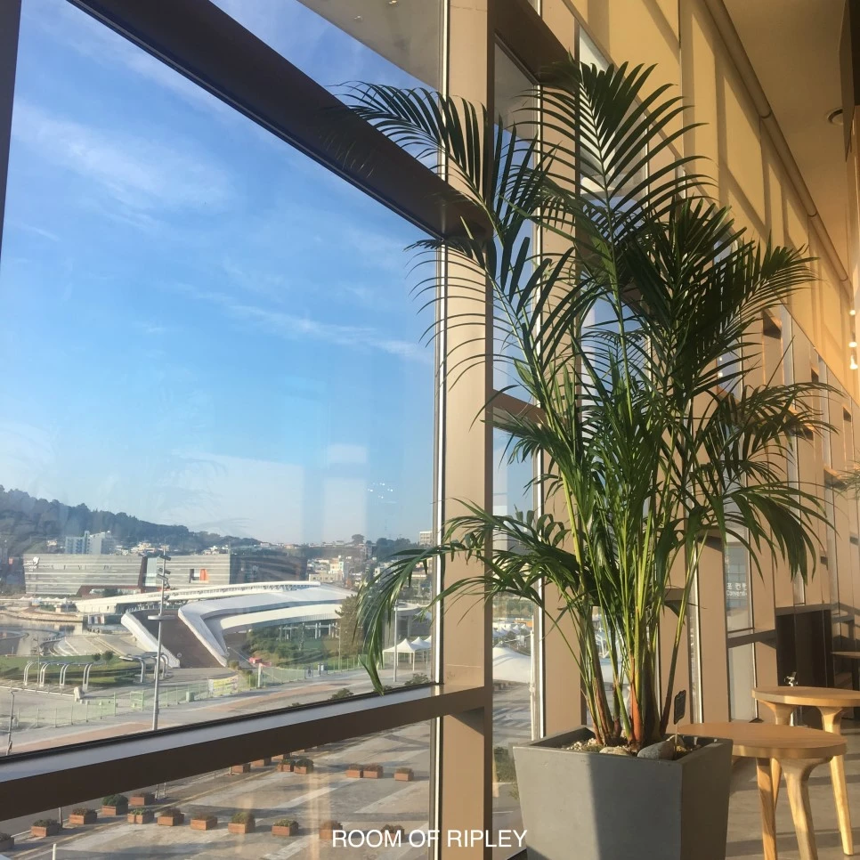 image_793923843291729.jpg?type=w966