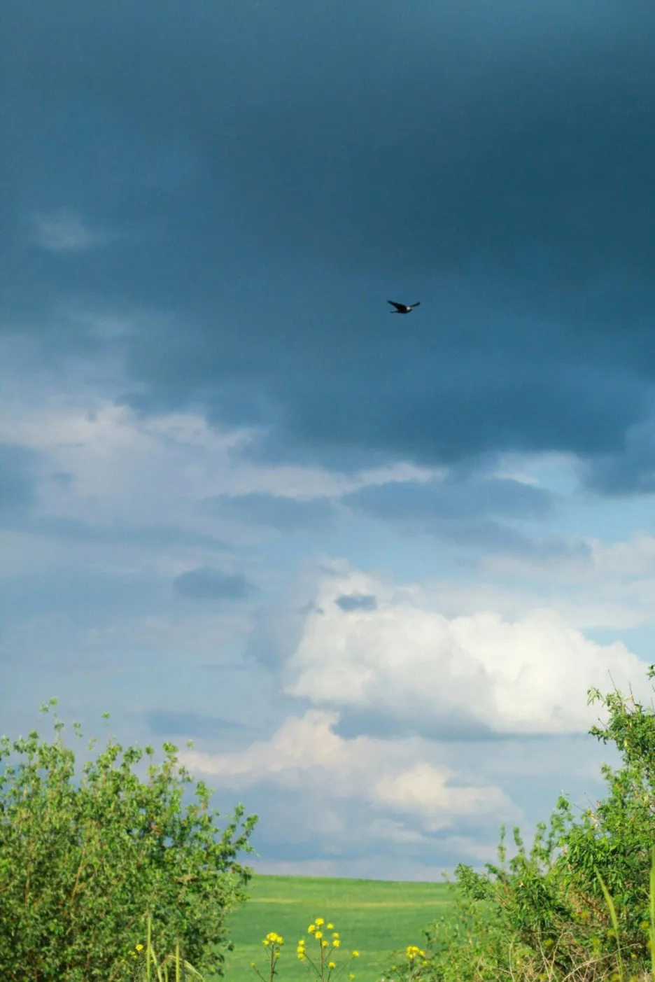 SE-CDDADEB9-B761-4069-9DF4-74C054D3ECC0.jpg?type=w1