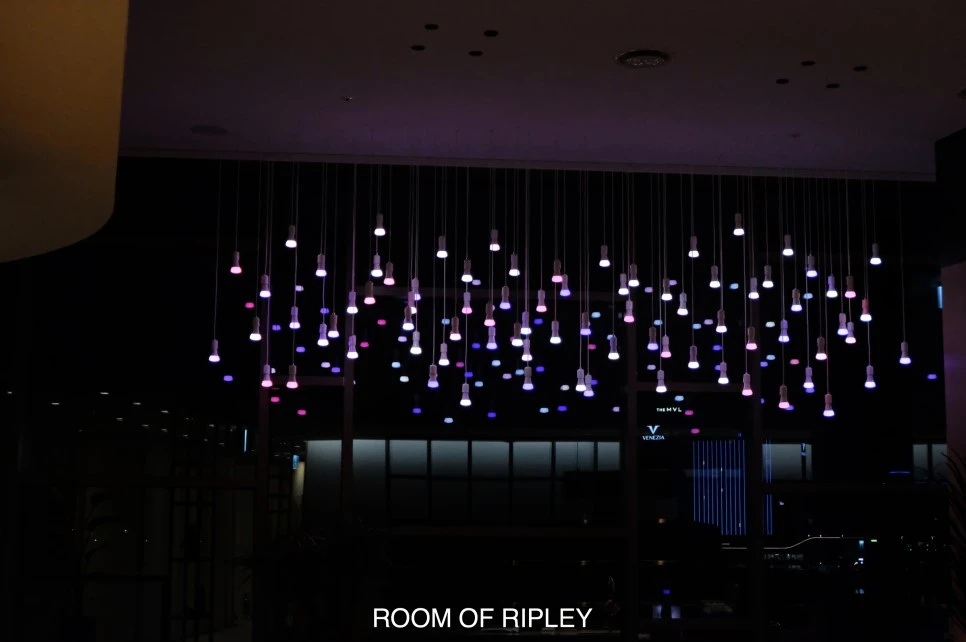 image_873565267106093.jpg?type=w966