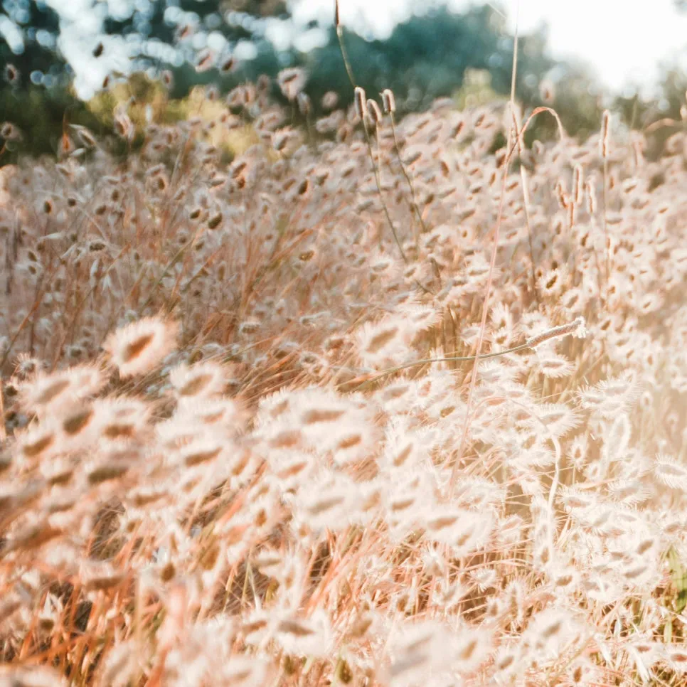 pexels-elisabeth-ende-20918671-7431693.jpg?type=w966