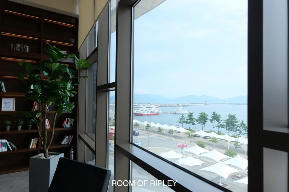 image_6204278498880720.jpg?type=w966