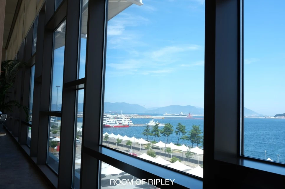 image_6625763340500.jpg?type=w966