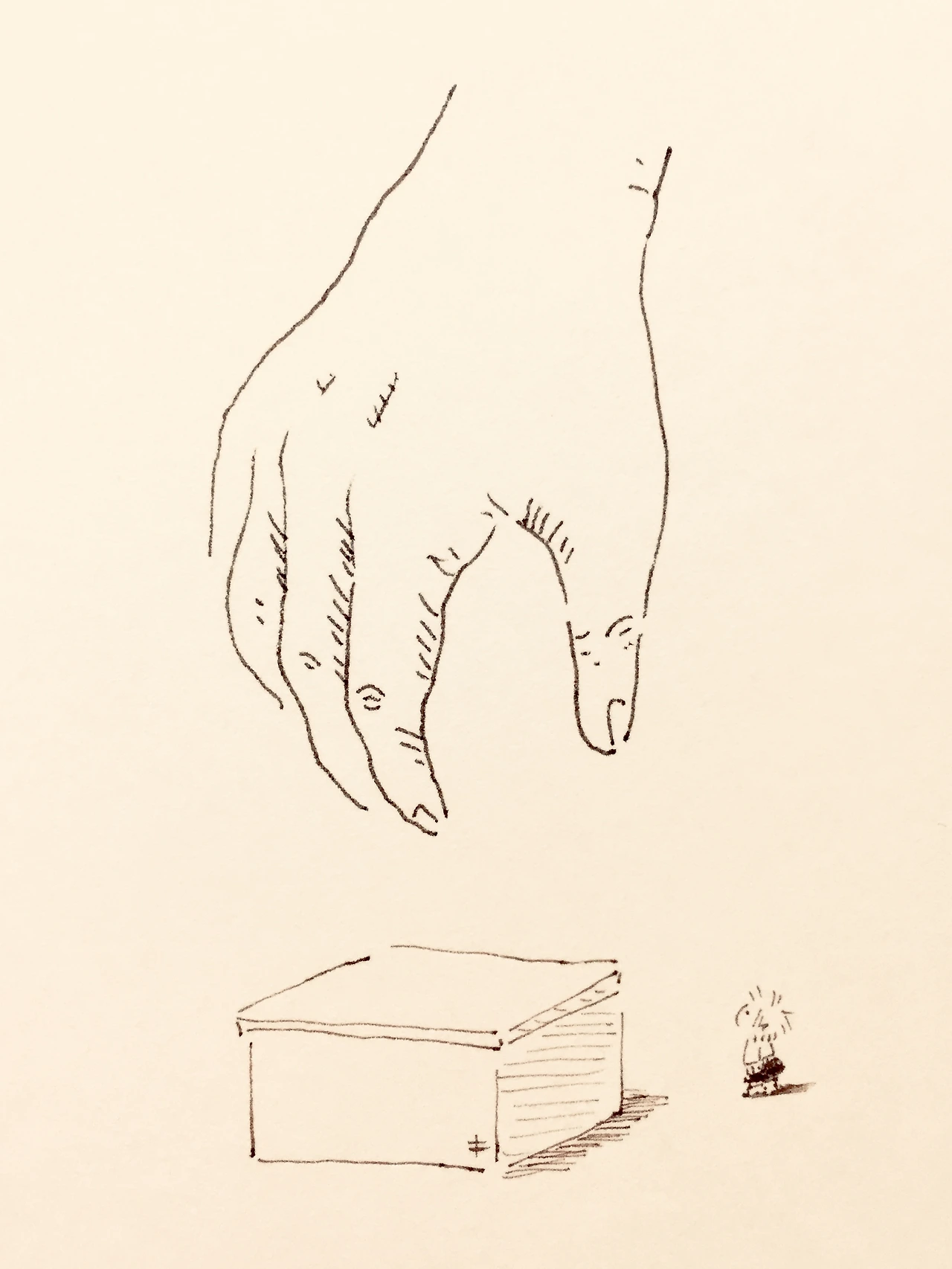 IMG_7823 (편집됨).JPG