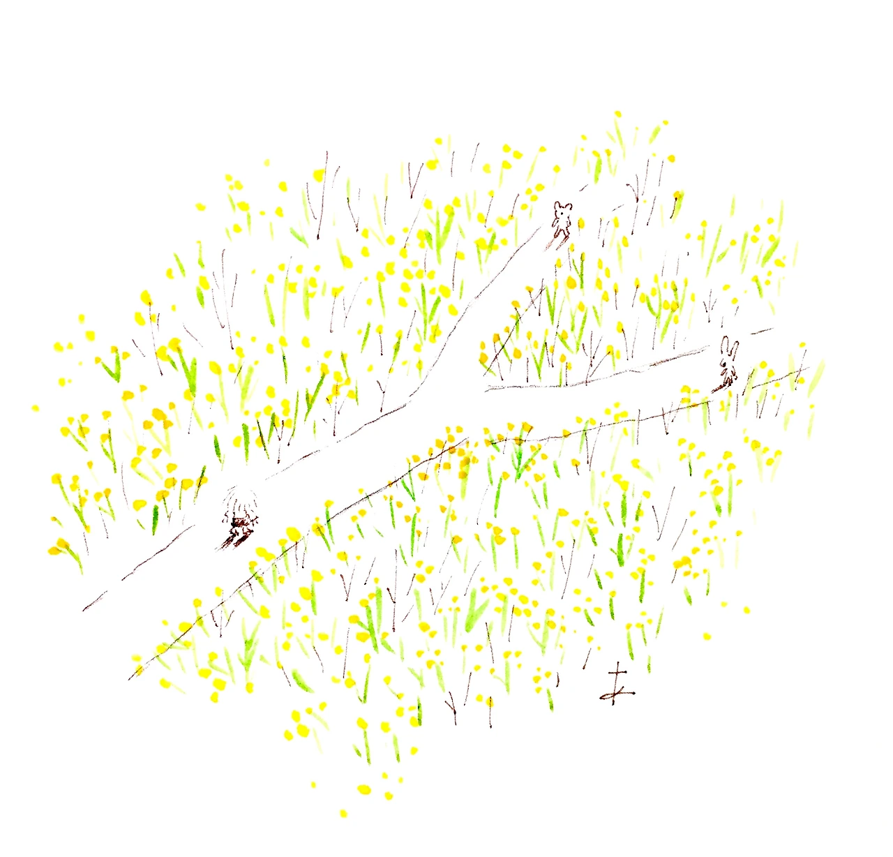 IMG_7661 (편집됨).JPG