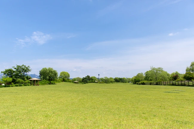 SE-c811a278-3e5d-4eb9-a635-3e1e45c412e3.jpg?type=w966